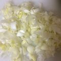 腹ペコグッピー's cooksnap of when they made ☆時短☆長ネギのみじん切り.