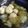 めけてー's cooksnap of when they made 鶏だんごの煮物♪.