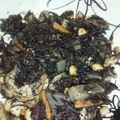 とーすけママ's cooksnap of when they made 基本のひじきの煮物.