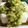 みやつま's cooksnap of when they made 夏野菜たっぷり！山形のだし.