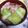 ぴっぴ2's cooksnap of when they made ロールキャベツ！コンソメ編☆.