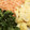 りんご華☆1219's cooksnap of when they made 簡単炒り卵！風♪.