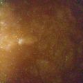 ふぅこ１１１１'s cooksnap of when they made いちじくジャム♪.