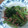 katu_yoshi's cooksnap of when they made 簡単★ベーコンと小松菜のマスタード炒め.