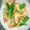 ☆聖月☆'s cooksnap of when they made 簡単☆夏野菜と豚肉の塩炒め.