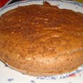 はやてもみじ's cooksnap of when they made ホットケーキミックスで簡単ココアケーキ♪.