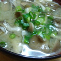 hpyhpy's cooksnap of when they made 秋の味覚　きのこきのこ粕汁.