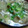 hpyhpy's cooksnap of when they made 秋の味覚　きのこきのこ粕汁.