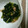 きちきちれんれん's cooksnap of when they made ほうれん草とツナの煮浸し.