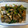 ゆりあってぃ's cooksnap of when they made こんにゃくと小松菜の煮物風.