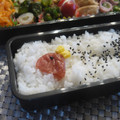 スタイリッシュママ's cooksnap of when they made 夏のお弁当在住☀梅ちゃん❤.