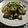 qyulove's cooksnap of when they made 茄子の豆鼓醤炒め.