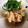 よいゆきママ's cooksnap of when they made ☆えのきと鶏肉の梅煮☆.
