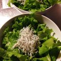 しゅうゆうけいはる母's cooksnap of when they made しらすとサラダ菜のポン酢レモン和え.