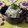 kururin18's cooksnap of when they made 茗荷とじゃこで☆さっぱりきんぴら風.