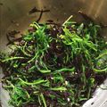 クックJEPUP1☆'s cooksnap of when they made 缶詰ひじきとブナシメジのサラダ.