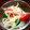 絃斗＊'s cooksnap of when they made 超簡単☆トマトときゅうりのさっぱりサラダ.
