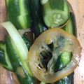 あきゆり's cooksnap of when they made 超簡単！塩レモンでキュウリの浅漬け.