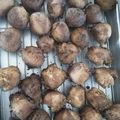 もんばぁ's cooksnap of when they made さっくり♡ふわふわ♡簡単ドーナツ.