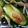 わんた☆'s cooksnap of when they made やみつききゅうり☆梅とみょうがで漬物.