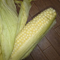 めるる333's cooksnap of when they made 【簡単】レンジでとうもろこしのゆで方.