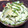 ティットン's cooksnap of when they made マヨしょうゆのゴーヤ.
