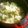 ぽにょママnako's cooksnap of when they made 暑くてもストウブ鍋でキャベツの蒸し煮.