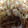 ariitan♡'s cooksnap of when they made かどやの味を再現？！大人気の焼きそば☆.