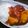 Mirey's cooksnap of when they made ハヤシライス.