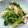 や～たん食堂's cooksnap of when they made ほうれん草の胡麻和え♪.