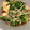 スヌーピーごはん's cooksnap of when they made 厚揚げ＆水菜☆さっぱり煮.