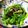 hatchi8's cooksnap of when they made 簡単すぎ！ピーマンと塩昆布の和え物.