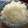 milk＊crown's cooksnap of when they made 簡単＊酢飯　　手巻き寿司.