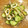 ♪おれんじ30♪'s cooksnap of when they made もやしの中華風サラダ.