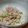 株式会社ふくなお's cooksnap of when they made 白ゴーヤでツナサラダ.