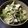 emueemuai's cooksnap of when they made キャベツの塩昆布和え！.