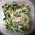 amicky0109's cooksnap of when they made かいわれとカニカマのサラダ.