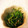GreenGuide's cooksnap of when they made 簡単☆ほうれん草のごま和え♪裏ワザあり.