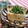 赤い電話's cooksnap of when they made 絶品！我が家のやみつき冷奴♪.