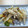 きらり流れ星's cooksnap of when they made ★きのことさつま芋のバター炒め★.