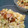 ☆めぇ☆ﾐ's cooksnap of when they made 簡単☆鮭とウィンナーの炒飯♪.
