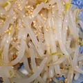 どんぐりぱん's cooksnap of when they made 韓国料理 豆もやしナムル.