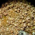 PIGASSY's cooksnap of when they made 肉味噌♪.