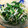 キャンディピンク's cooksnap of when they made ♪旨い♡もやしとニラのちょい辛ナムル♪.