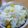 hinato母's cooksnap of when they made とうきびごはん‥とうもろこしごはん…。.