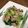 みつばちはっち3号's cooksnap of when they made 分量簡単♪豚肉とちんげん菜の炒め物.