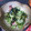akkoma's cooksnap of when they made 母が教える♪ 酢の物.