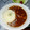 ♪もんちゃん♪'s cooksnap of when they made 大根を使った和風カレー.