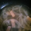 ☆けいﾀｿ☆'s cooksnap of when they made ☆簡単！たまねぎ1個！オニオンスープ☆.
