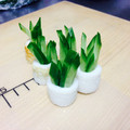 ひめたむ's cooksnap of when they made ♪お弁当の彩りに♫ちくわ＆きゅうり.